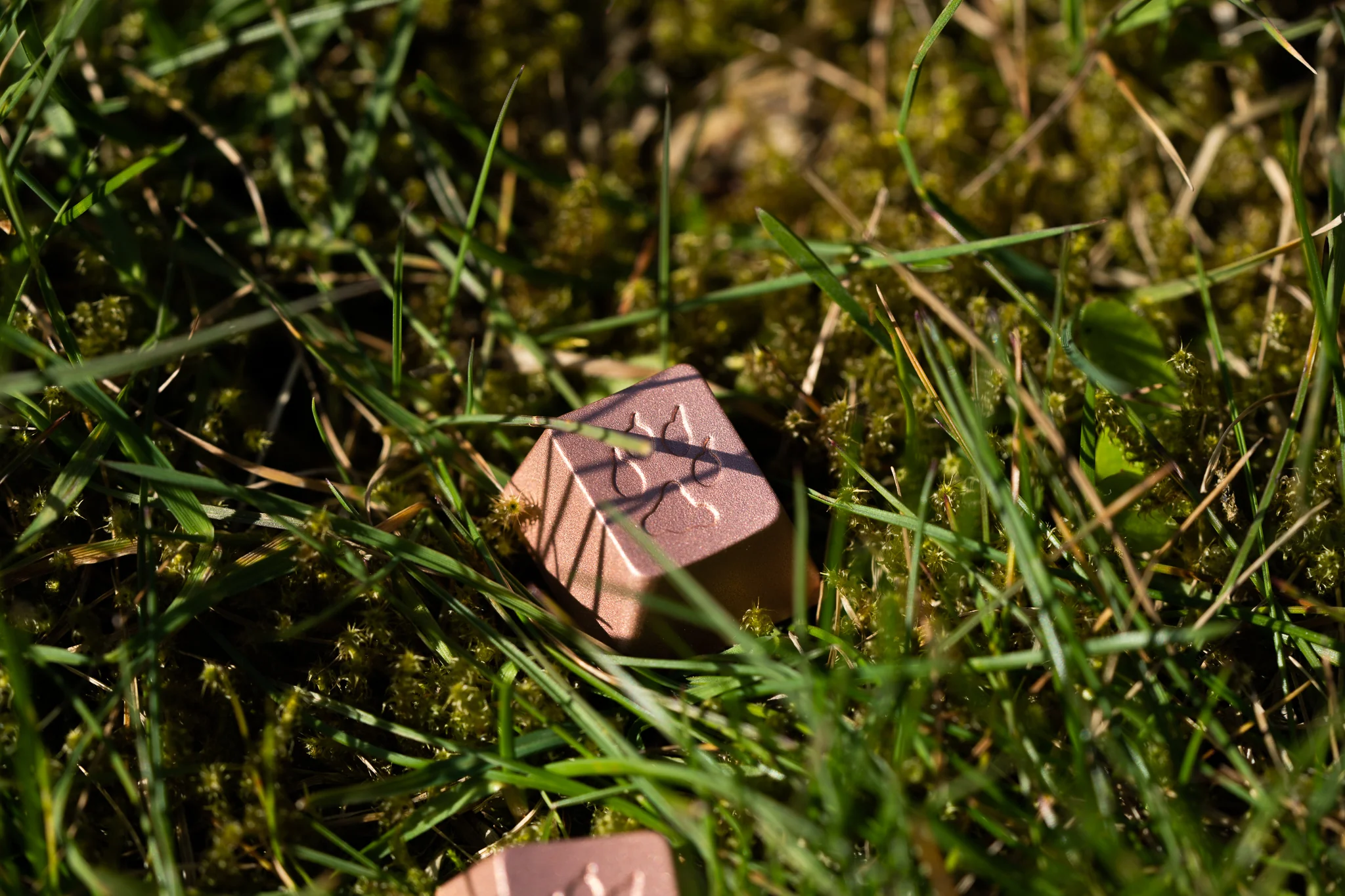 GMK Fox - Image 5