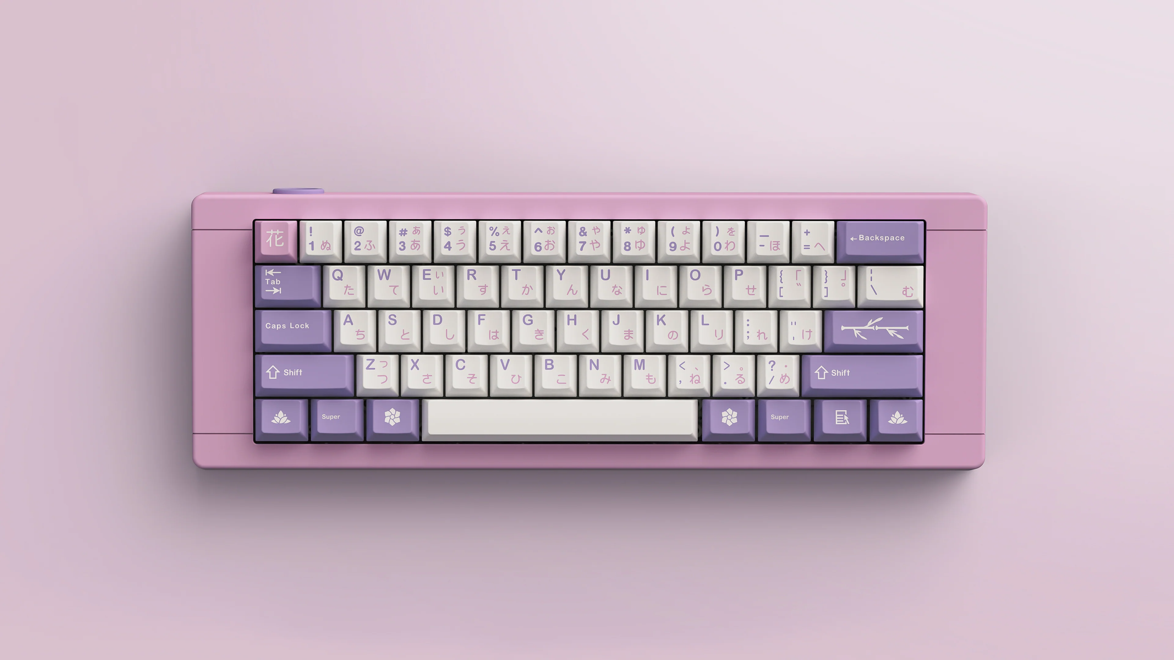 JTK Hanami - Image 36